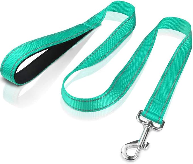 FunTags 4FT Turouoise Reflective Dog Leash for Medium & Small Dogs Training, Soft Padded Handle Comfortable Grip, Heavy Duty Nylon, Reflective for Night Walking, 3/4in Wide