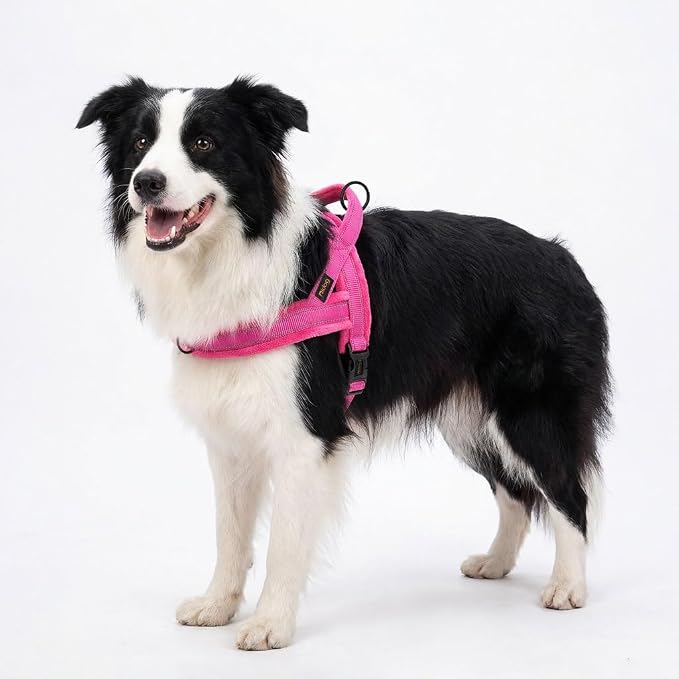 Didog Soft Flannel Padded Dog Vest Harness, No Pull/Quick Fit Reflective Dog Strap Harness, Easy for Training Walking (M:Chest 21-26", Hot Pink)