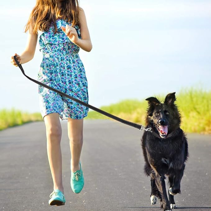 FunTags 4FT Black Reflective Dog Leash for Large & Medium Dogs Training, Soft Padded Handle Comfortable Grip, Heavy Duty Nylon, Reflective for Night Walking, 1in Wide