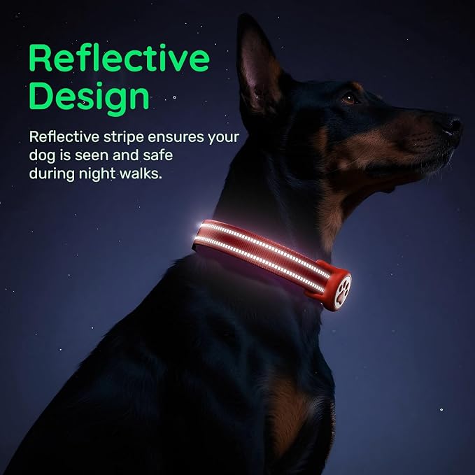 Airtag Dog Collar, Reflective Ultra-Durable Nylon Padded with QR Buckle & IP68 Waterproof Air Tag Holder Compatible for Apple AirTag, Comfortable for Small Medium Large Dogs (Red, XS)