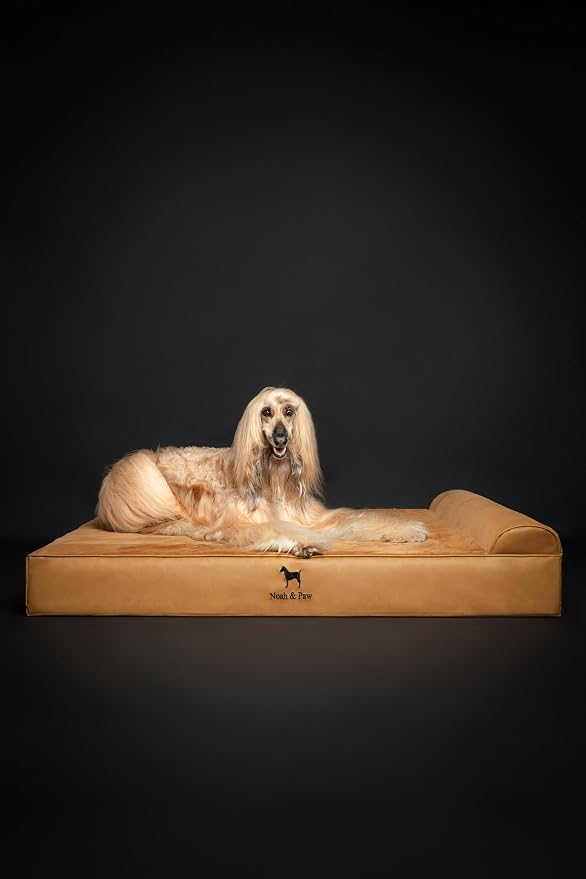 NOAH & PAW Giant Dog Bed XXL 55x45x9.5 Inch, Orthopedic Dog Beds, Eggshell Memory Foam Infused with Cooling Gel, Water Resistant, Machine Washable, Includes Inner Cover (Faux Leather)