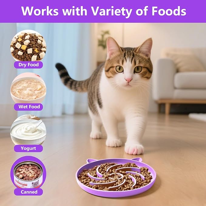 2Pcs Silicone Slow Feeder Cat Bowl,Puzzle Feeder,Interactive Toys,Slow Feeding cat Bowl Suitable for All Dry and Wet Foods,Easy to Clean Silicone Bowls (Green and Blue)