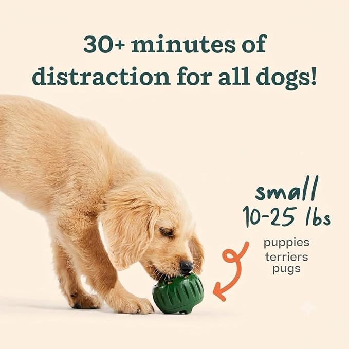 WOOF Starter Pack - Interactive Dog Ball Toy for Boredom - Dog Treat Molds Silicone - Chicken-Flavored Healthy Treats for Dogs - Pupsicle Doggy Enrichment Toy - for Small Pups - 10-25 lbs