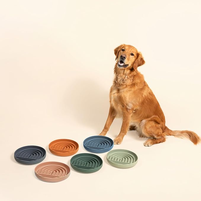 Should We Go? Slow Feeder Dog Bowls - Large Size Silicone Slow Eating Dog Bowl for Puppies & Dogs with Suction Cup -Dishwasher-Safe, Lick Mat Design, Reduces Gulping,for All Breeds,9.5”x1.5”- Sage