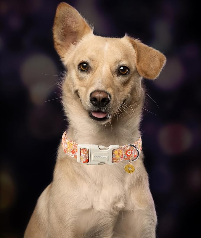 DOGWONG Fall Flower Dog Collar- Cute Flower Dog Collars Adjustable Floral Dog Collar for Girl Female Small Medium Large Dogs M