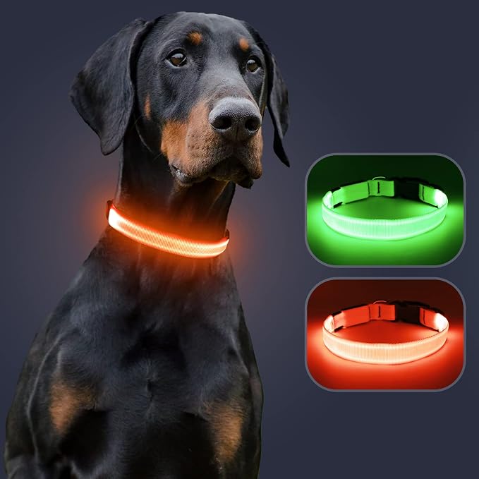 Light Up Dog Collar, Rechargeable USB Collar, Waterproof, Luminous LED Collar, Adjustable, Super Bright, Night Walking for Small Medium Large Dogs, Orange, L