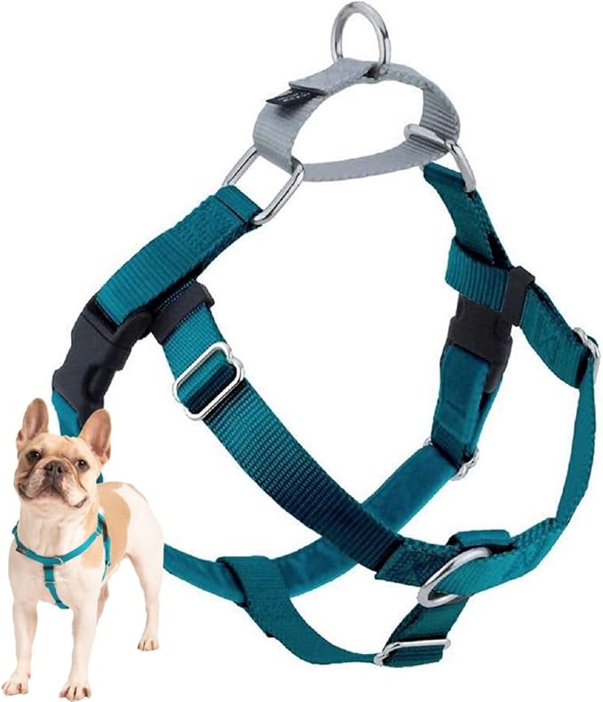 2 Hounds Design Freedom No Pull Dog Harness, Adjustable Harness, Easy Walking & Comfortable Control, Fits Small, Medium & Large Dogs, Solid Colors, Made in USA, 5/8" MD, Teal