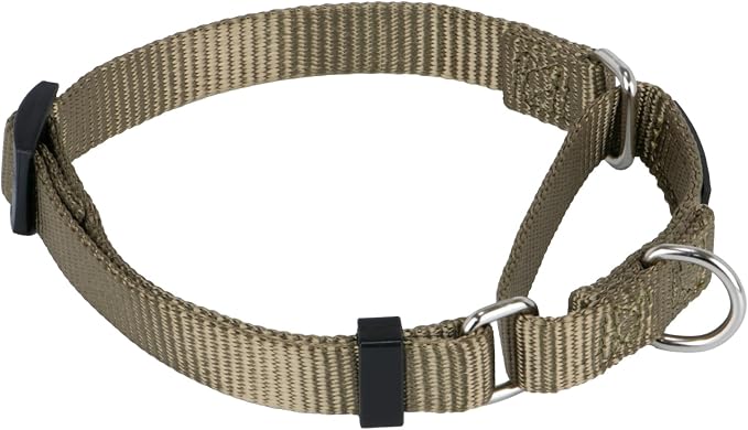Hyhug Martingale Collar for Dogs Small Green |Escape - Proof Heavy Duty Nylon Durable No Buckle, Ideal for Training & Daily Walks
