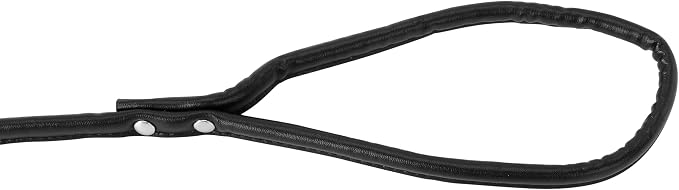 Black Soft Leather Dog Leash for Small,Medium Dog Walking, Comfortable Leather Handle, 4 ft Black