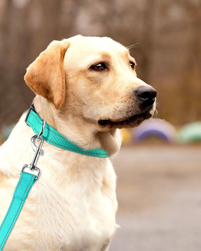 FunTags Length 16" - 24" Reflective Turquoise Dog Collar for Large Dogs – Night Walking & Training Safety, Durable Quick Release Buckle, Nylon, Comfortable Adjustable, Width 1"
