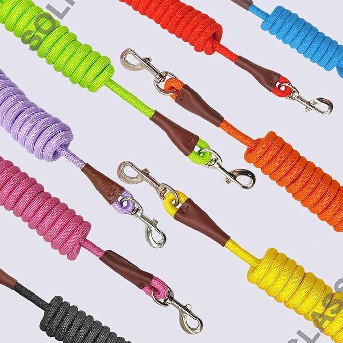 MayPaw 4/6 /8/10 FT Dog Leash, Classic Solid Colors, Strong Nylon Rope Dog Leash Reinforced with Leather Tailor Connection Heavy Duty Silver Clasp (Orange, 6ft*1/2")