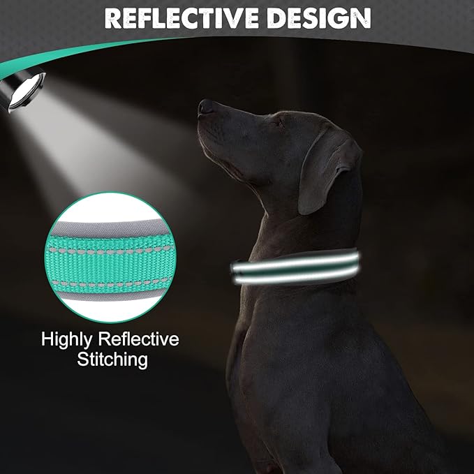 Joytale Dog Collar for Large Dogs, Neoprene Padded and Adjustable, Reflective Wide Heavy Duty Pet Collars with Durable Metal Belt Buckle for Walking, Teal, L