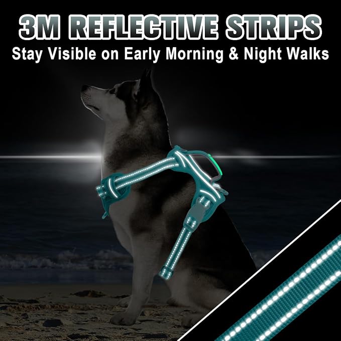 BARKBAY No Pull Dog Harness Large Reflective Dog Harness with Front Clip and Easy Control Handle for Walking Training Running with ID tag Pocket(Ocean Blue,M)