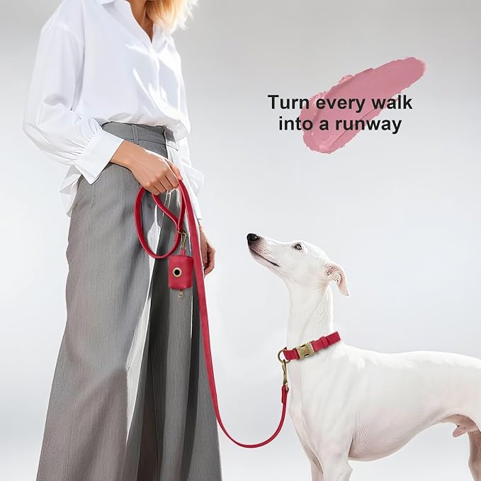 Didog Stylish PU Leather Dog Leash for Large Dogs, Easy to Clean 5ft Dog Leashes for Medium Dogs, Fashionable and Elegant for Walking, Running and Training,Red, M