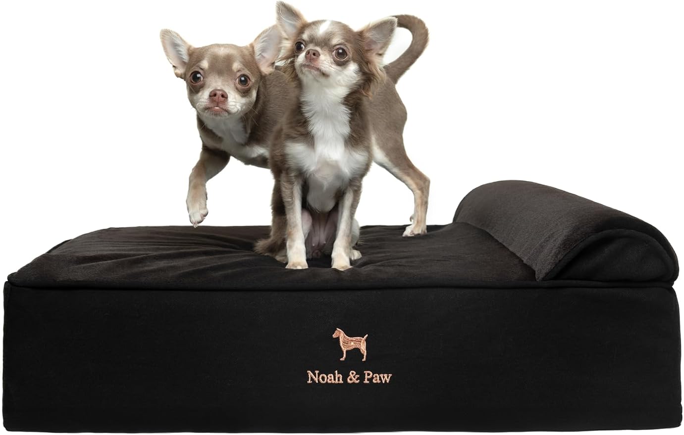 NOAH & PAW Dog Bed, 28x23x7.5 Inch, Orthopedic Dog Beds for Medium Size Pets, Eggshell Memory Foam Infused with Cooling Gel, Water Resistant, Machine Washable, Includes Inner Cover (Denim Collection)