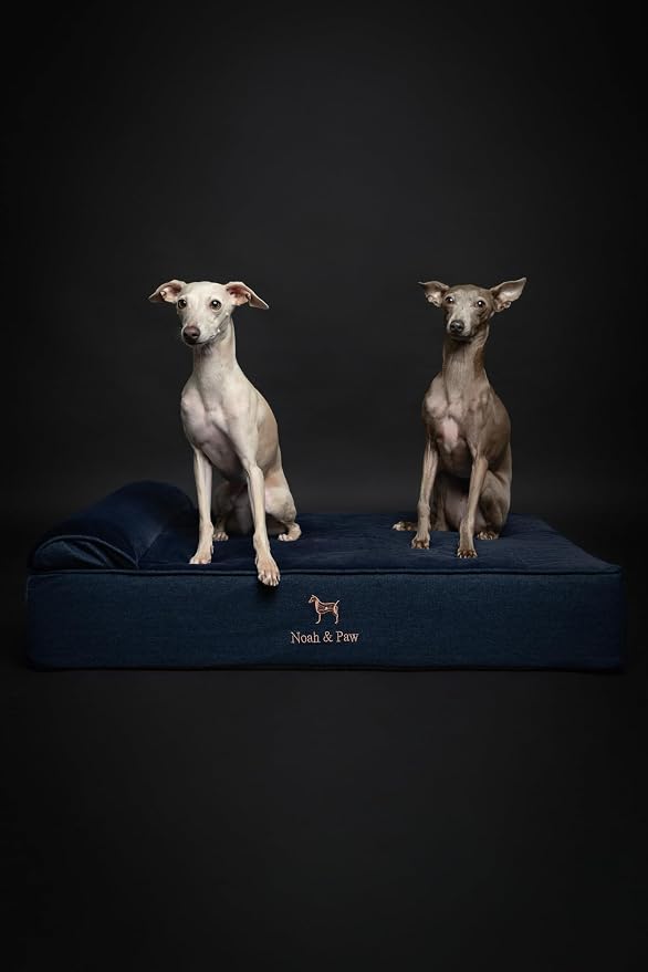 NOAH & PAW Large Dog Bed, 35x25x8.7 Inch, Orthopedic Dog Beds, Eggshell Memory Foam Infused with Cooling Gel, Water Resistant, Machine Washable, Includes Inner Cover (Denim Collection)