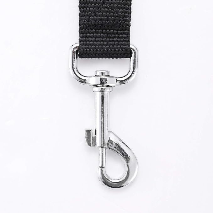 Strong Durable Nylon 10ft Long Dog Training Leash, Traction Rope, 1 Inch Wide, for Small and Medium Dog (Black, 10 Feet)