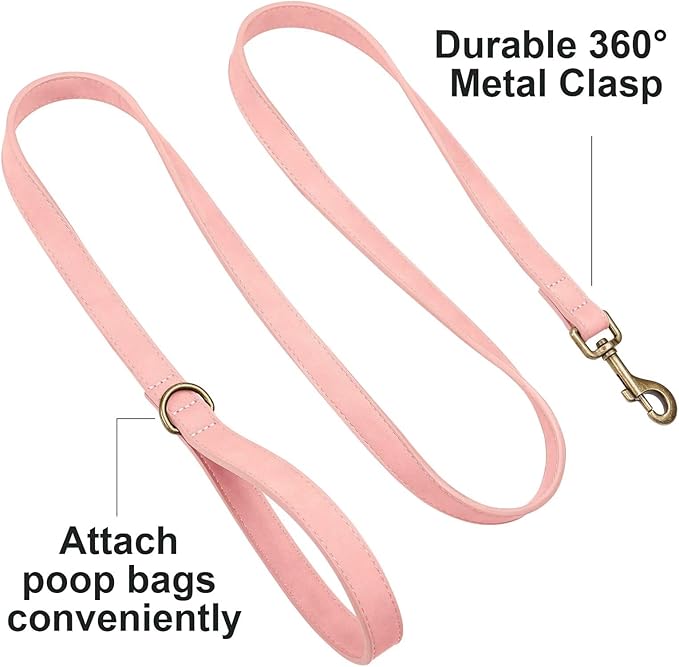 Didog Stylish PU Leather Dog Leash for Small Dogs, Easy to Clean 5ft Small Dog Leash with Metal Tangle-Free Clip, Cute and Fashionable for Walking, Running and Training,Pink, S