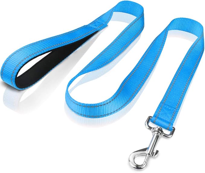FunTags 4FT Sky Blue Reflective Dog Leash for Medium & Small Dogs Training, Soft Padded Handle Comfortable Grip, Heavy Duty Nylon, Reflective for Night Walking, 3/4in Wide