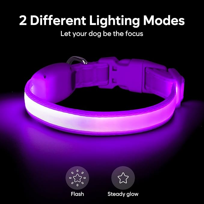 Light up Collar for Small Dog,Vizpet XS Adjustable Size Nylon Collar USB Rechargeable Bright Safety Pet Collar for Cats Small Dogs(Purple, X-Small[ 8.66-11.9 inch/22cm-30cm])
