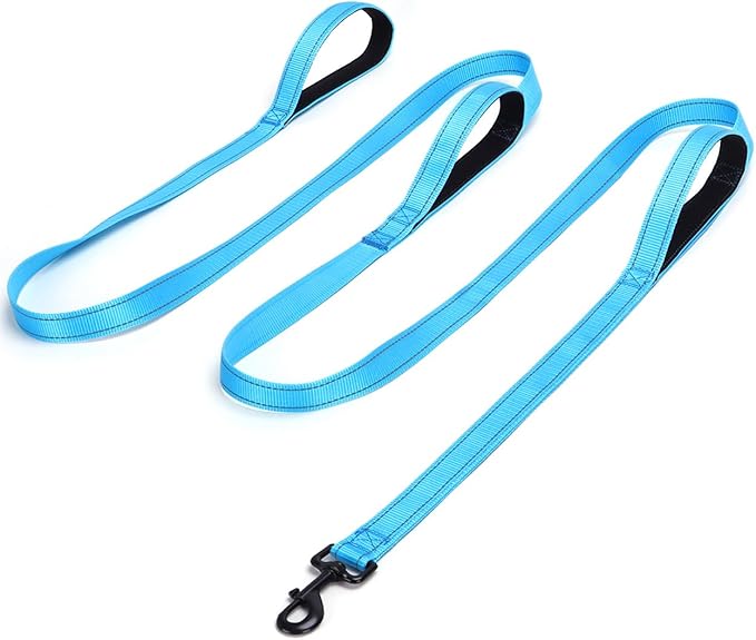3 Handle Dog Leash, 10FT Triple Handle Dog Leash Heavy Duty with Reflective Stitching, Padded Traffic Handles for Training, Control & Safety - Teal