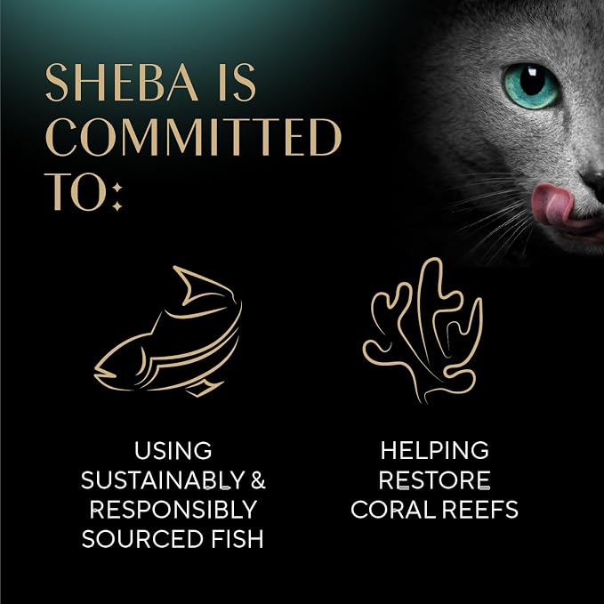 SHEBA Perfect Portions Paté Wet Cat Food Trays (24 Count, 48 Servings), Savory Chicken, Roasted Turkey, and Tender Beef Entrée, Easy Peel Twin-Pack Trays