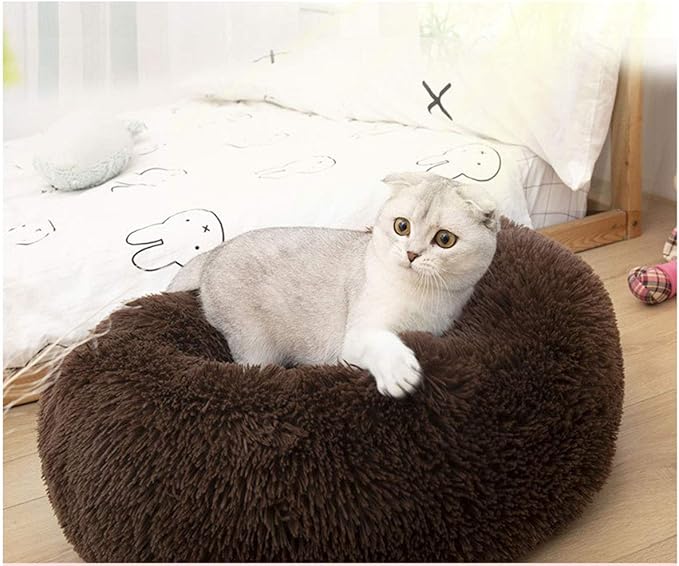 Modern Soft Plush Round Pet Bed for Cats or Small Dogs, Mini Medium Sized Dog Cat Bed Self Warming Autumn Winter Indoor Snooze Sleeping Cozy Kitty Teddy Kennel (20'' D x 8'' H, Chocolate)