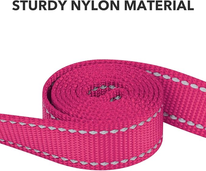 Taglory Dog Leash for Medium Large Dogs, Double-Sided Reflective for Night Walking, Neoprene Padded Handle, 1 inch by 4 ft, Heavy Duty for Medium Large Breeds 20-150 lbs, Hot Pink