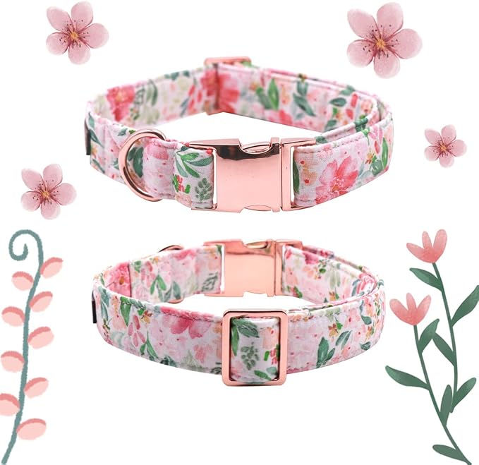 Lionet Paws Dog Collar with Bow Tie - Soft Comfortable Adjustable Collars with Metal Buckle for Puppy and Cat,Neck 7-11 Inches