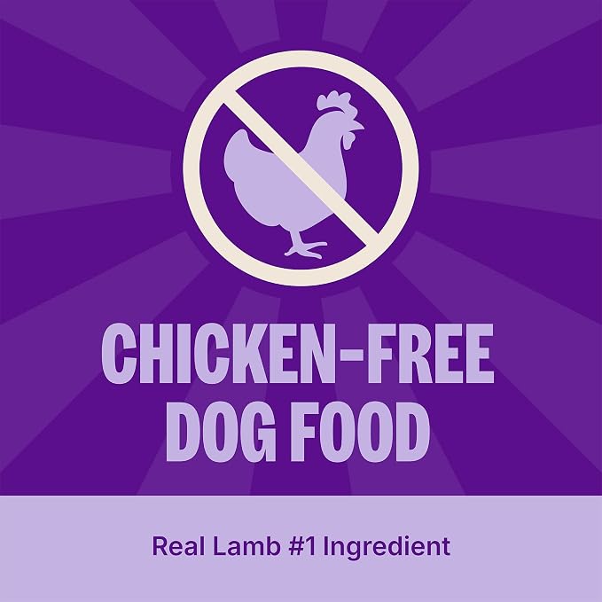 Wellness CORE Adult Dry Dog Food, Grain Free Kibble, Natural, High Protein, Lamb Recipe, 4 lb Bag