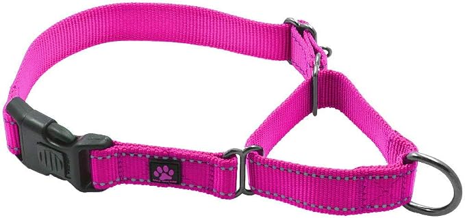 Max and Neo Nylon Martingale Collar - We Donate to a Dog Rescue for Every Collar Sold (Small, Pink)