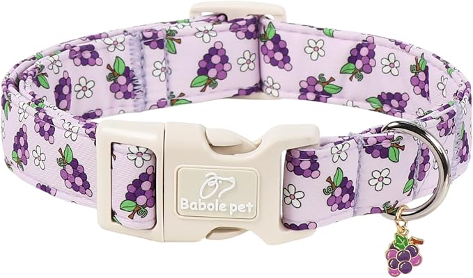 Summer Dog Collar Cute Grape Dog Collars for Large Dogs - Lightweight Adjustable Boy Girl Dogs Everyday Collar with Quick Release Buckle L