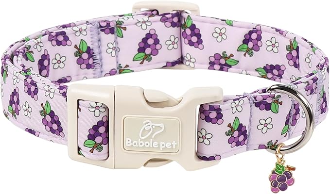 Summer Dog Collar Cute Grape Dog Collars for Small Dogs - Lightweight Adjustable Boy Girl Dogs Everyday Collar with Quick Release Buckle S