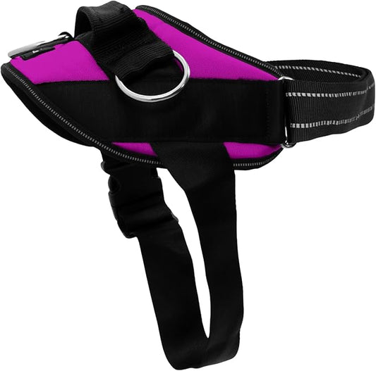 ShawnCo Essential Dog Harness, No-Pull Pet Vest with 3 Leash Clips, No Choke, Reflective, Adjustable and Padded, for Easy Walking and Training for Small, Medium and Large Dogs (Orchid, XL)