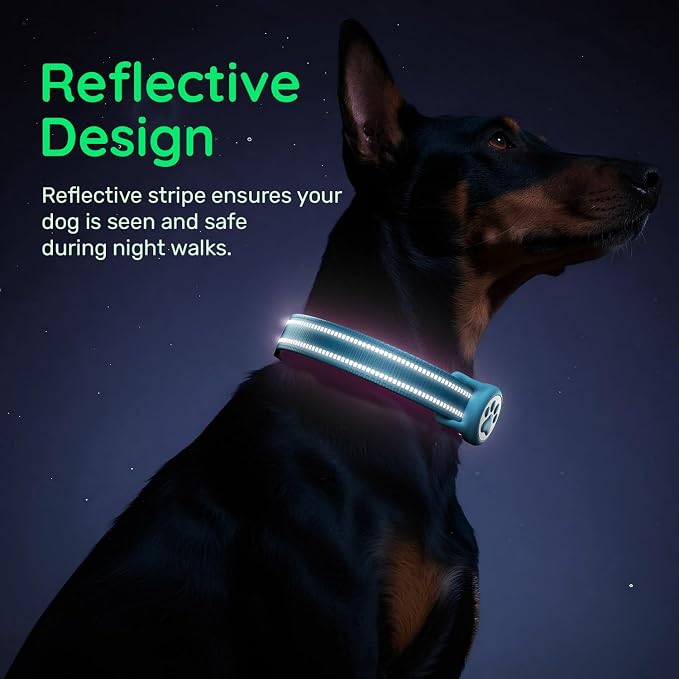 Airtag Dog Collar, Reflective Ultra-Durable Nylon Padded with QR Code Buckle & IP68 Waterproof Air Tag Holder Compatible for Apple AirTag, Comfortable for Small Medium Large Dogs (Blue, XS)