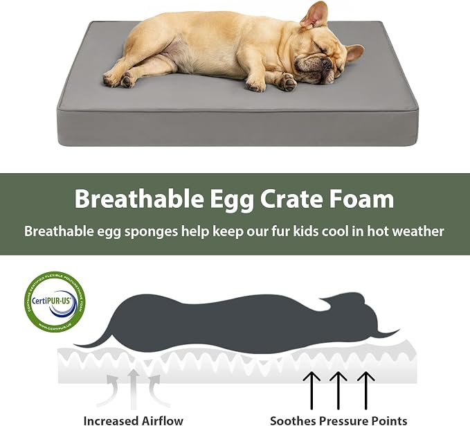 WNPETHOME Outdoor Dog Bed Waterproof, Large Outdoor Dog Bed for Large Sized Dog, Outdoor Indoor Dog Bed with Removable Washable Cover, Egg Crate Foam Dog Crate Mat, Durable Waterproof Dog Bed, Grey