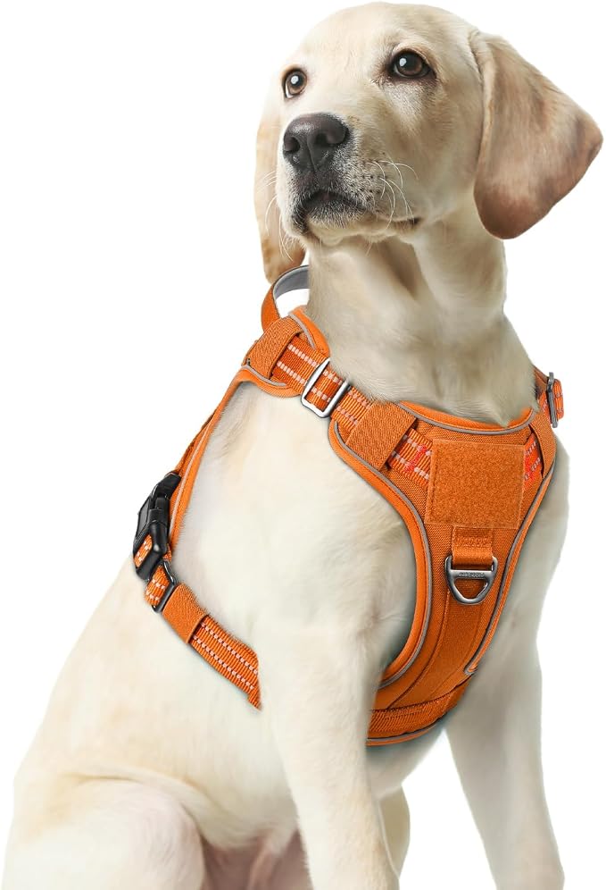 rabbitgoo Tactical Dog Harness for Large Dogs No Pull Adjustable Military Vest with Handle MOLLE Reflective Heavy Duty Dog Vest for Walking Training Hunting Outdoor Working Medium Size Dog Orange M