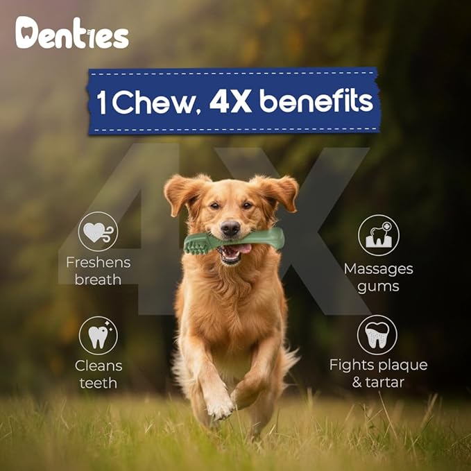 Dental Chews for Dogs – Vet Recommended Dental Dog Treats for Tiny/Small Dogs(Up to 22 lbs), Cleans Teeth, Freshens Breath, Reduce Plaque & Tartar,Mint Chicken & Beef Recipe,16oz Pack,57 Count