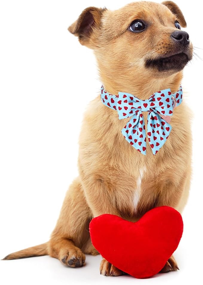 Valentine's Dog Collar & Bow Tie Set,UP URARA PUP Soft & Comfortable Pet Collar with Premium Plastic Buckle for Small, Medium, Large Dog,XS