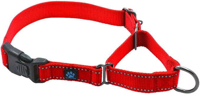 Max and Neo Nylon Martingale Collar - We Donate to a Dog Rescue for Every Collar Sold (Medium, RED)