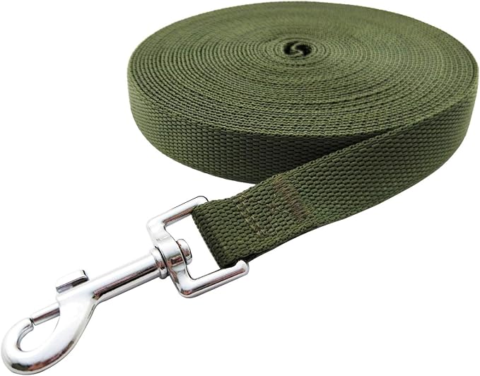 Nylon Training Dog Leash for Small Medium Large Dogs, 15ft 20ft 30ft 50ft Long Leash Dog/Puppy Lead for Obedience Recall Training, Camping (30ft, Green)