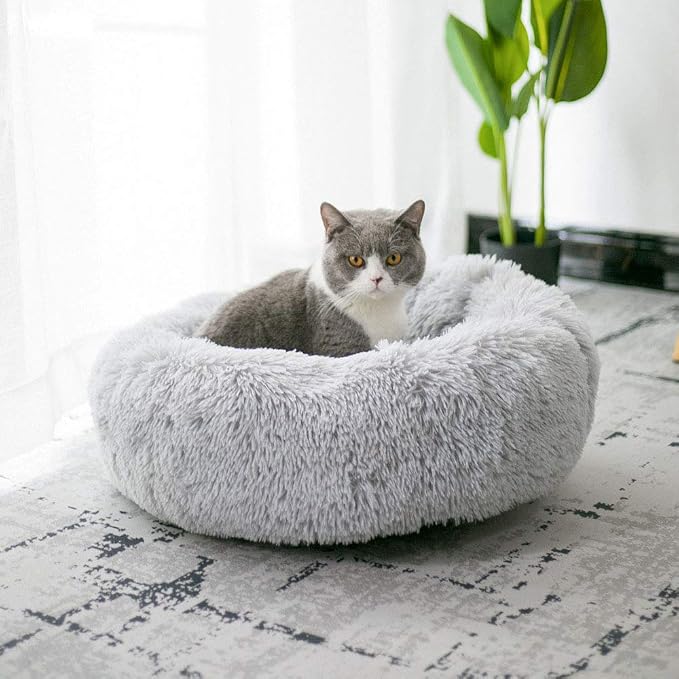 Modern Soft Plush Round Pet Bed for Cats or Small Dogs, Mini Medium Sized Dog Cat Bed Self Warming Autumn Winter Indoor Snooze Sleeping Cozy Kitty Teddy Kennel (20'' D x 8'' H, Light Grey)
