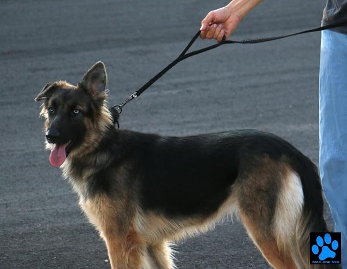 Max and Neo™ Double Handle Traffic Dog Leash Reflective - We Donate a Leash to a Dog Rescue for Every Leash Sold (Blue)