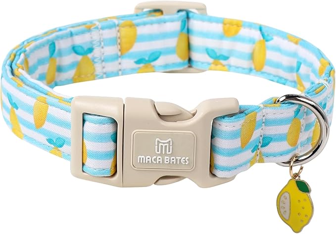 Maca Bates Summer Lemon Basic Dog Collar for Small Boy Girl with Yellow Lemon Charm,Summer Lemons Pattern,Adjustable Durable Soft Birthday Gift for Male Female Puppy