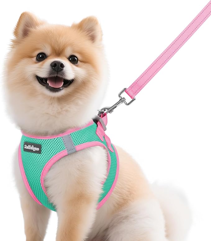 rabbitgoo Dog Harness Small Sized and Leash Set, Step-in Breathable Pet Harness, Soft Walking Reflective Puppy Vest for Small Dogs, Teal & Pink, M