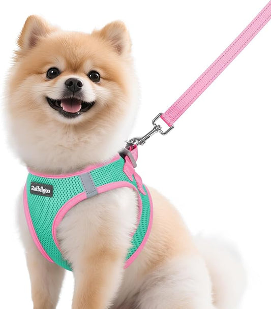 rabbitgoo Dog Harness Small Sized and Leash Set, Step-in Breathable Pet Harness, Soft Walking Reflective Puppy Vest for Small Dogs, Teal & Pink, M