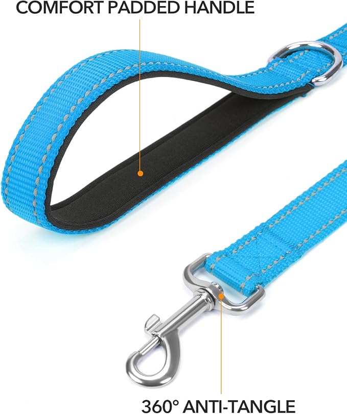 Taglory Dog Leash for Medium Large Dogs, Double-Sided Reflective for Night Walking, Neoprene Padded Handle, 1 inch by 5 ft, Heavy Duty for Medium Large Breeds 20-150 lbs, Sky Blue