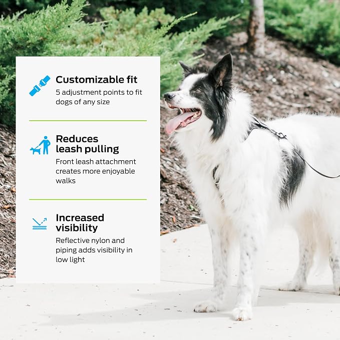 Premier Pet No Pull Comfort Harness - Reduces Pulling for Better Walks - Adjustable Fit with 4 Points - Soft Padded Design for Comfort - Reflective Stitching for Safety - Easy to Use Everyday - Medium