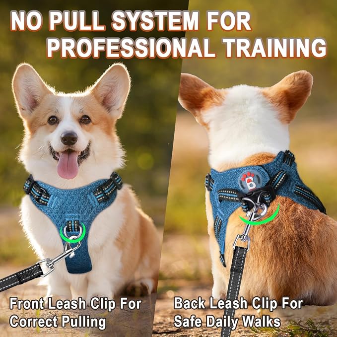 BARKBAY Dog Harness, Reflective Adjustable Step-in Vest Harness, Blue/Black, XXS