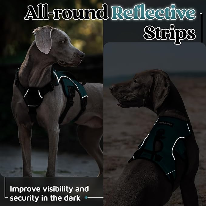 rabbitgoo Escape Proof Dog Harness Medium, Soft Padded Full Body Pet Harness, Reflective Adjustable No Pull Vest with Lift Handle and Leash Clip for Walking Hiking Training, Dark Green, M